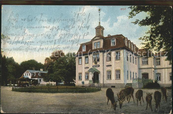 Eisenach Thueringen Hotel Hohe Sonne Rehe
