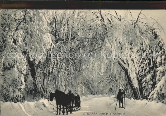 Oberhof Thueringen Waldweg im Schnee Pferdeschlitten