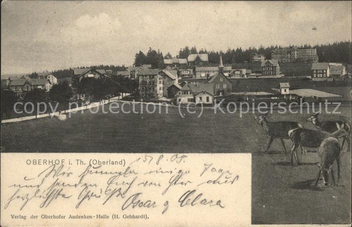 Oberhof Thueringen Panorama mit Wild