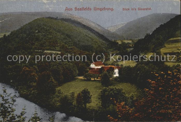 Saalfeld Saale Blick ins Gissratal