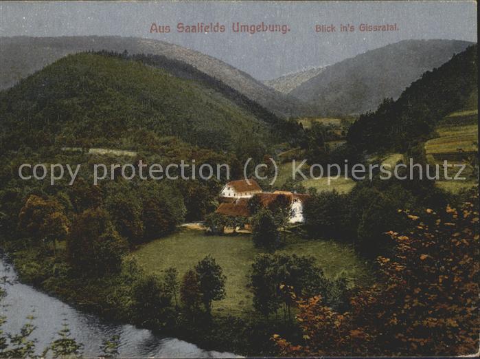 Saalfeld Saale Blick ins Gissratal