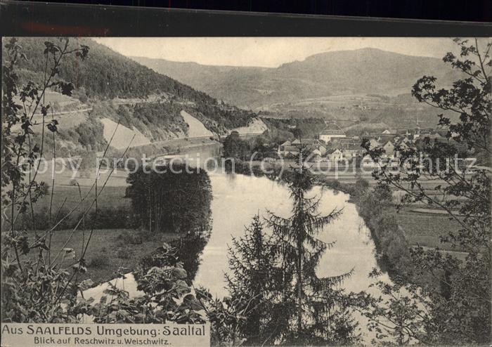 Saalfeld Saale Blick ins Saaletal mit Reschwitz u.Weis