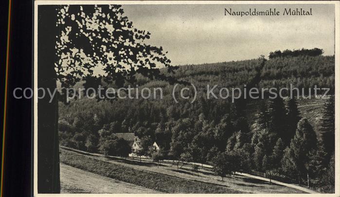 Eisenberg Thueringen Naupoldsmühle im Mühltal