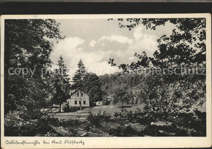 Bad Koestritz Oelsdorfmühle im Mühltal