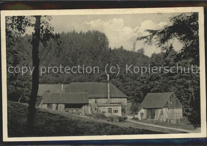 Eisenberg Thueringen Froschmühle im Mühltal