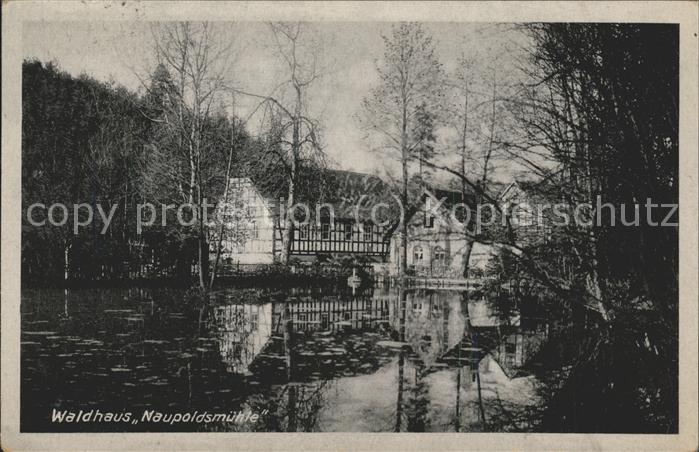 Eisenberg Thueringen Waldhaus Naupoldsmühle im Mühltal