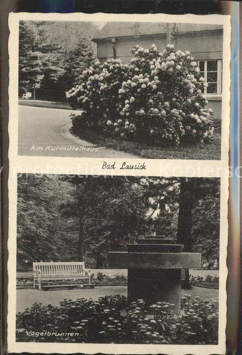 Bad Lausick Vogelbrunnen u.Partie am Kurmittelhaus