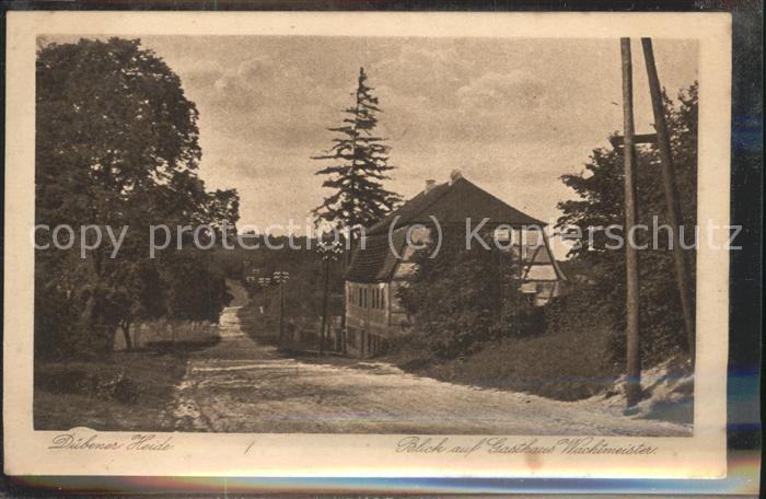 Bad Dueben Gasthaus Wachtmeister Naturpark Dübener