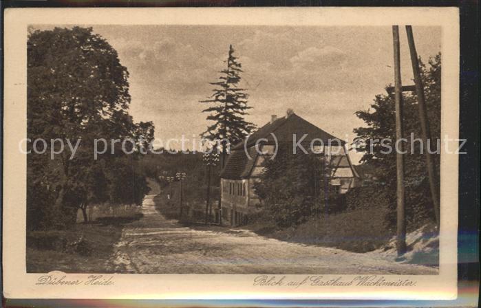 Bad Dueben Gasthaus Wachtmeister Naturpark Duebener Heide