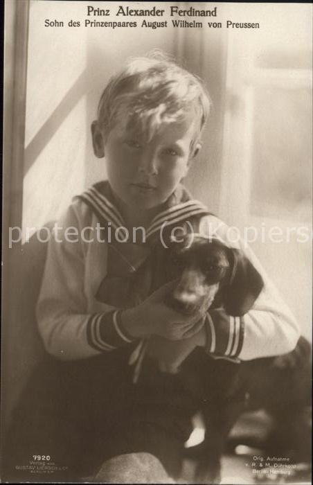 Adel Preussen Prinz Alexander Ferdinand Hund