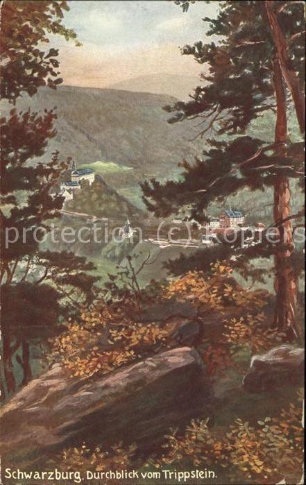 Verlag WIRO Wiedemann Nr. 863 Schwarzburg Trippstein