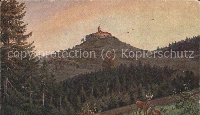 Verlag WIRO Wiedemann Nr. 2429 B Leuchtenburg