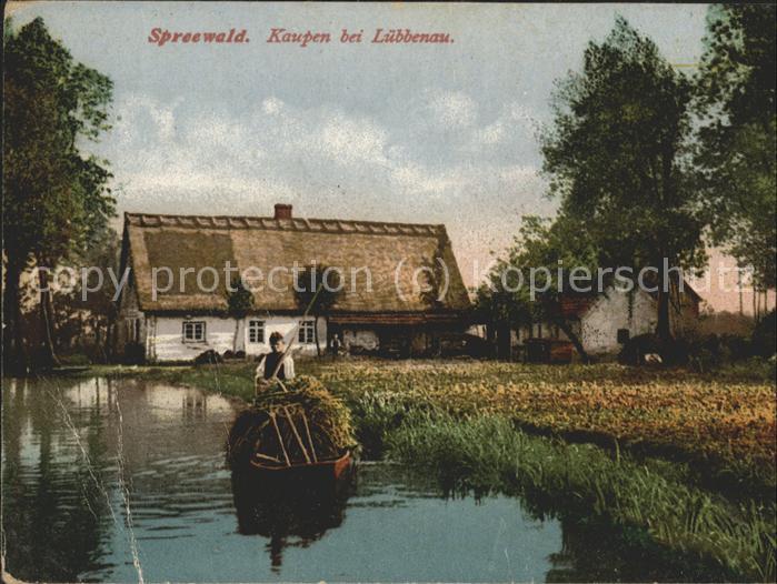 Luebbenau Spreewald Kaupen Wasserstrasse Kahn Bauerngehöft