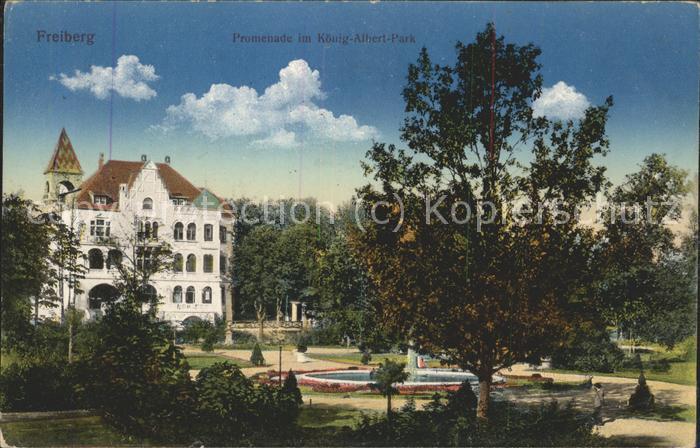 Freiberg Sachsen Partie im König-Albert-Park