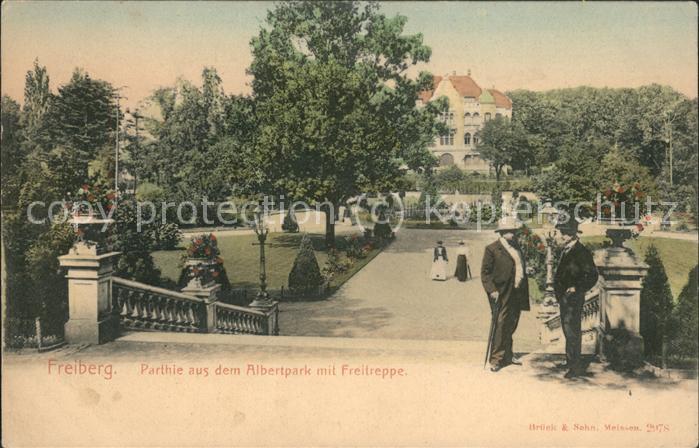 Freiberg Sachsen Partie aus dem Albertpark