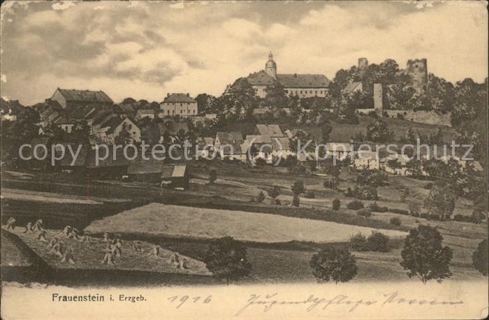 Frauenstein Sachsen Ortsblick Schloss