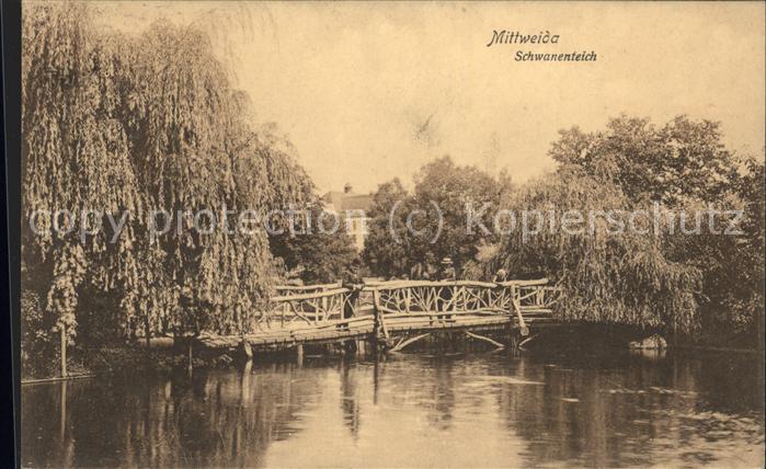 Mittweida Schwanenteich Brücke