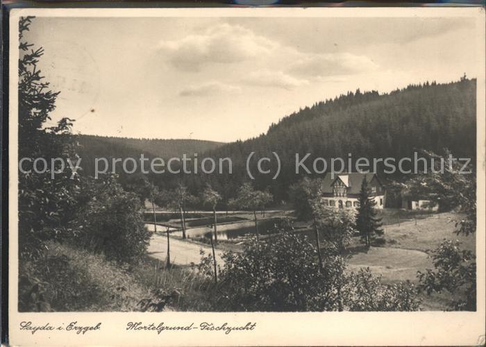 Sayda Mortelgrund Fischzucht