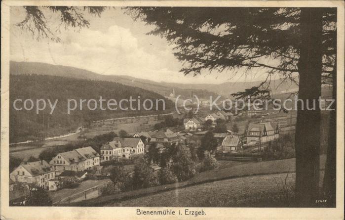 Rechenberg-Bienenmuehle Osterzgebirge Ortsansicht