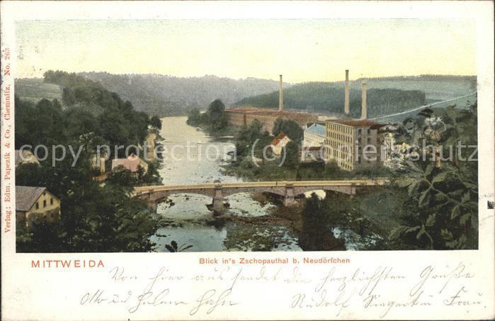 Mittweida Blick ins Zschopauthal Brücke