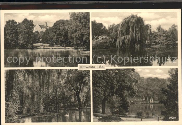 Mittweida Schwanenteich