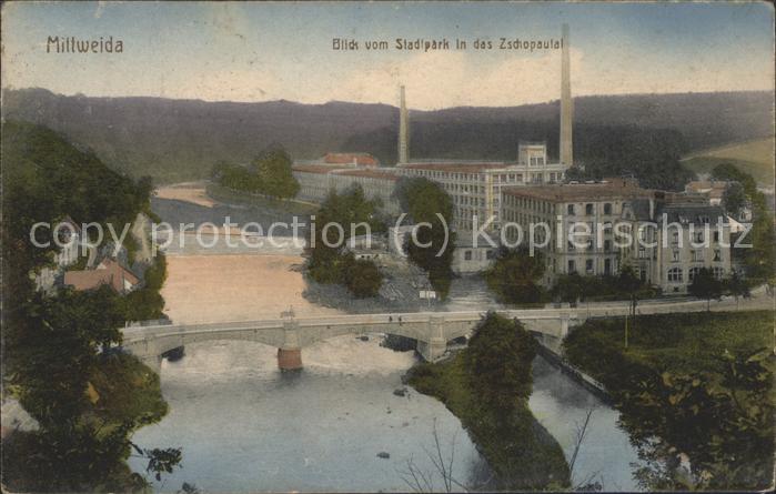 Mittweida Blick ins Zschopautal