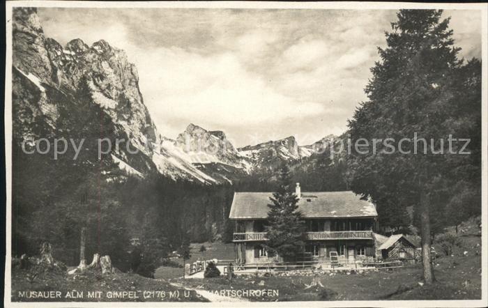 Oberstaufen Oberallgaeu Bayern Musauer Alm Gimpel Schartschrofen