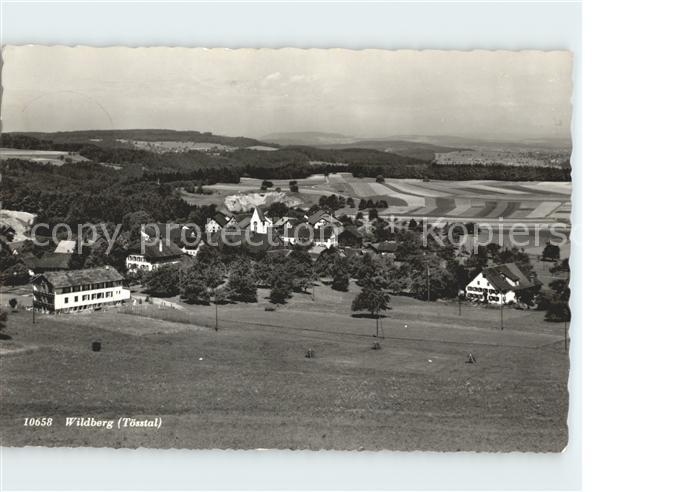 Wildberg ZH Panorama Toesstal