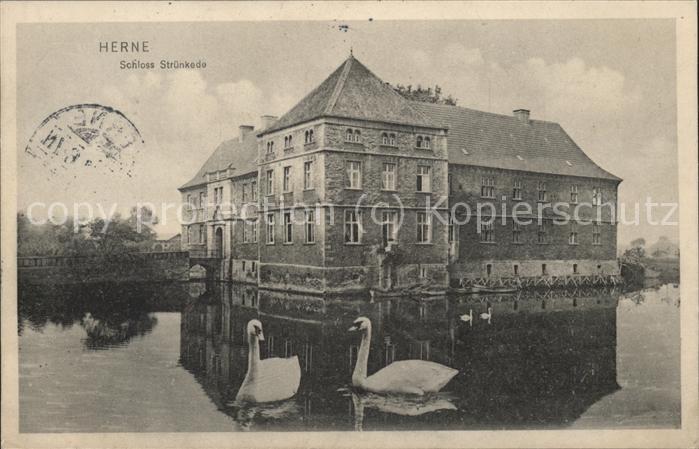 Herne Westfalen Schloss Strünkede Schwäne
