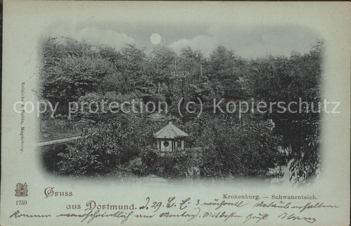 Dortmund Kronenburg Schwanenteich bei Nacht