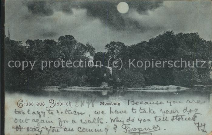 Biebrich Wiesbaden Moosburg bei Nacht