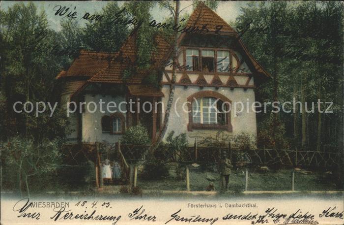 Wiesbaden Försterhaus im Dambachtal