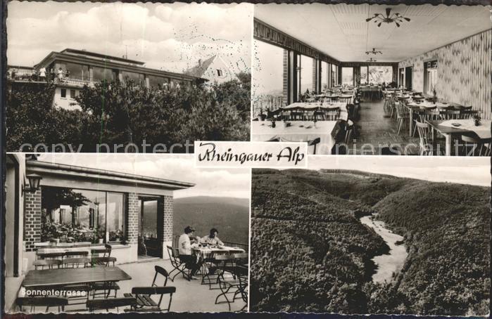 Ruedesheim Gasthaus Rheingauer Alp