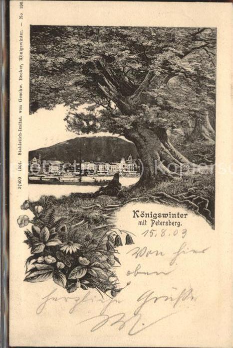 Koenigswinter mit Petersberg