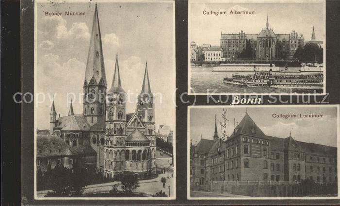 Bonn Rhein Münster Collegium Albertinum Collegium