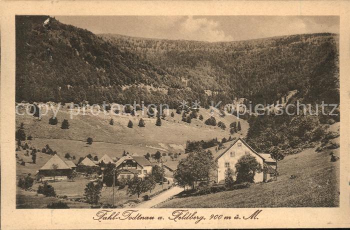 Todtnau Schwarzwald BW Panorama und Feldberg