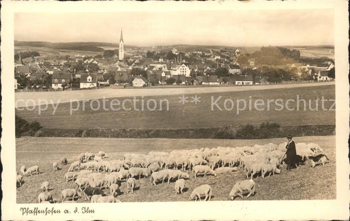 Pfaffenhofen Ilm Panorama Schafsherde