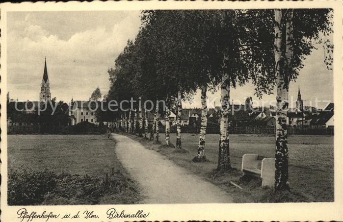 Pfaffenhofen Ilm Birkenallee
