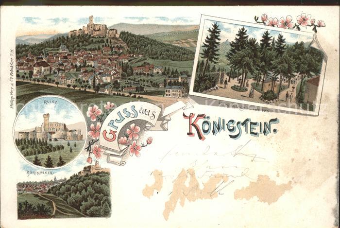 Koenigstein Taunus Panorama mit Burg