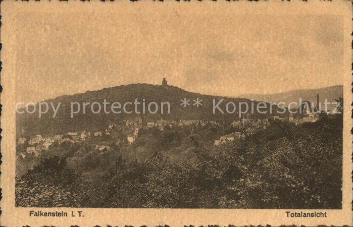 Falkenstein Taunus Totalansicht