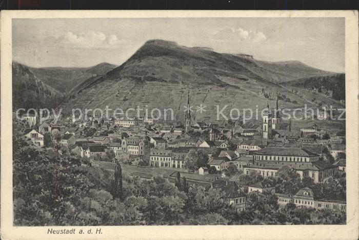 Neustadt Haardt Gesamtansicht