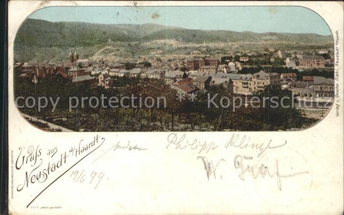 Neustadt Haardt Gesamtansicht