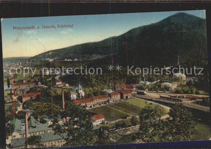 Neustadt Haardt Panorama Schoental Eisenbahn