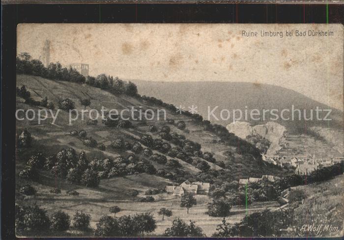 Bad Duerkheim Panorama mit Ruine Limburg