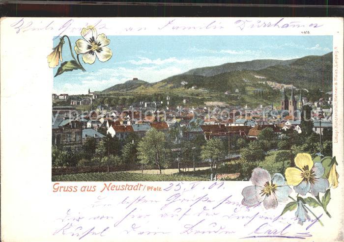 Neustadt Haardt Gesamtansicht Kirche Blumen