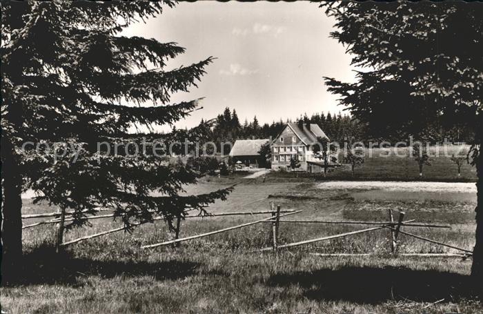 Escheck Gasthaus Pension Loewen