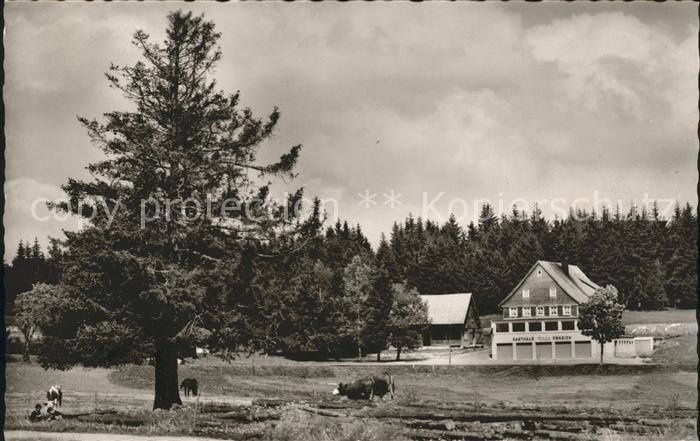 Escheck Gasthaus Pension Loewen