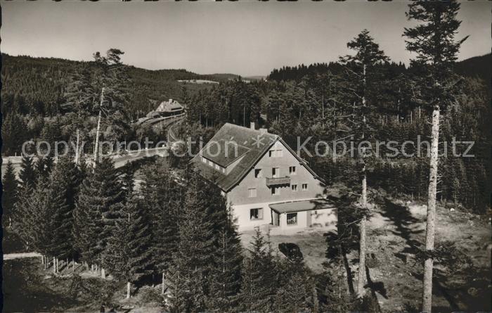 Baerental Feldberg Waldhotel Andris