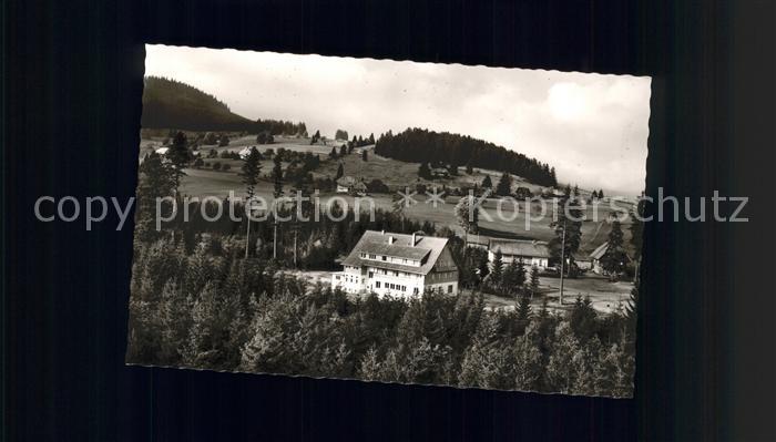 Baerental Feldberg Waldhotel Andris