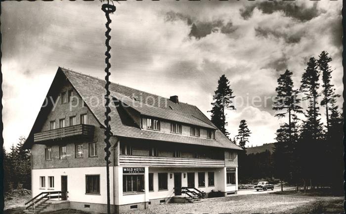 Baerental Feldberg Waldhotel Andris